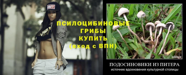 мескалин Анжеро-Судженск