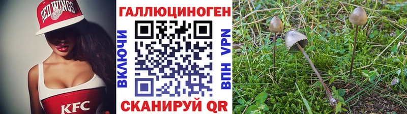 продажа наркотиков  Ивангород  Галлюциногенные грибы ЛСД 